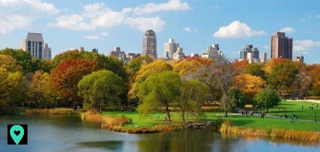 ¿Qué hacer en Nueva York en octubre? Actividades y eventos que no debe perderse