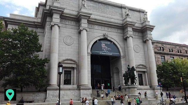 Museu de História Natural de Nova York: um lugar cheio de grandes surpresas!